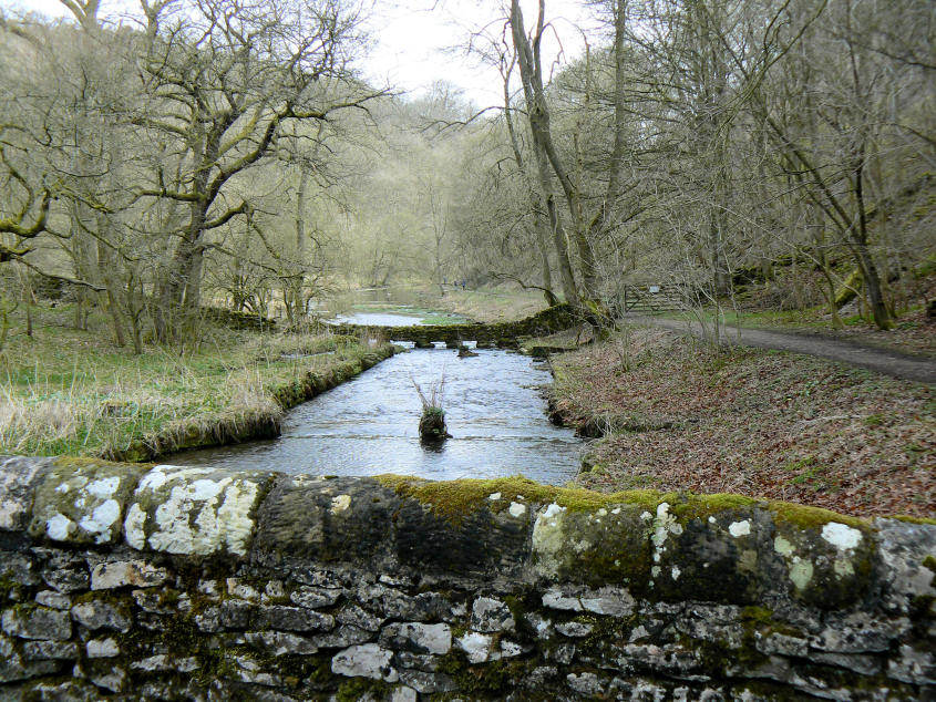 Bradford Dale Bradford Dale